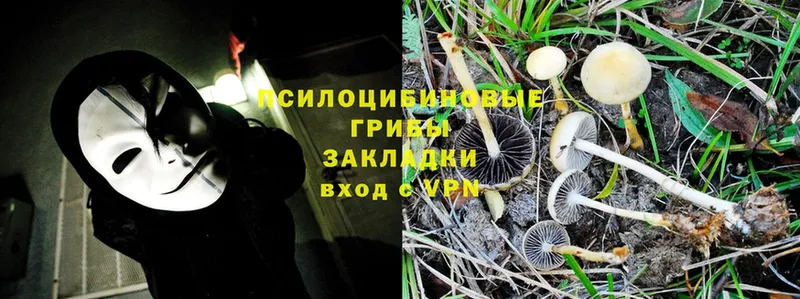 Галлюциногенные грибы Magic Shrooms  Дудинка 